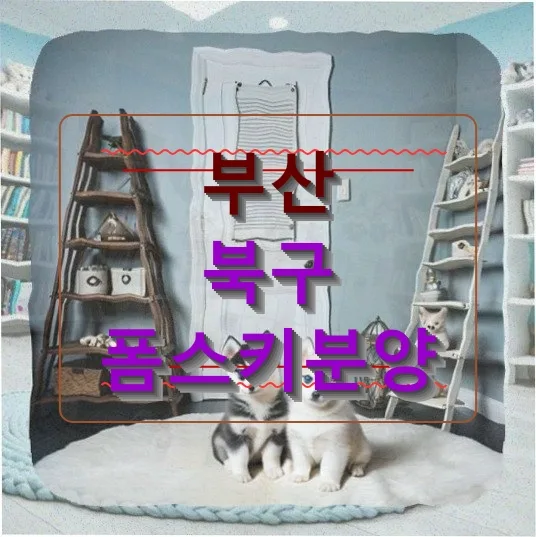 부산 북구 폼스키 분양, 새 가족 맞이 준비 2026
