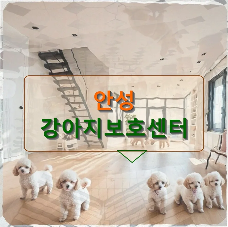 유기견 입양 2026: 안성 보호소 경험담과 절차 완벽 정리