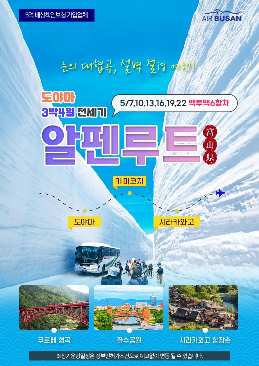 2026년 알펜루트 3박 4일: 부산 직항 전세기 특가 총정리