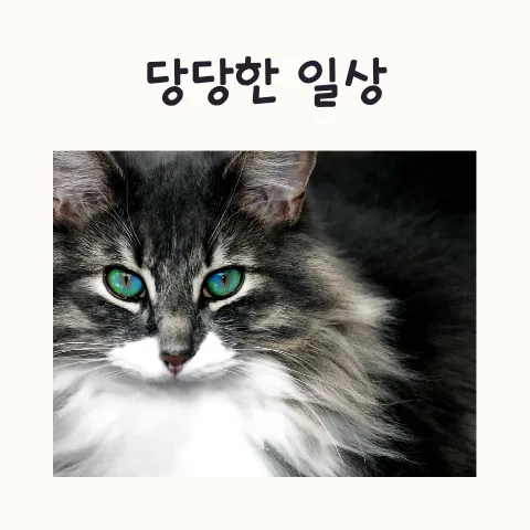 당당한 삶을 위한 행동 점검법 2026: 나만의 기준 찾기