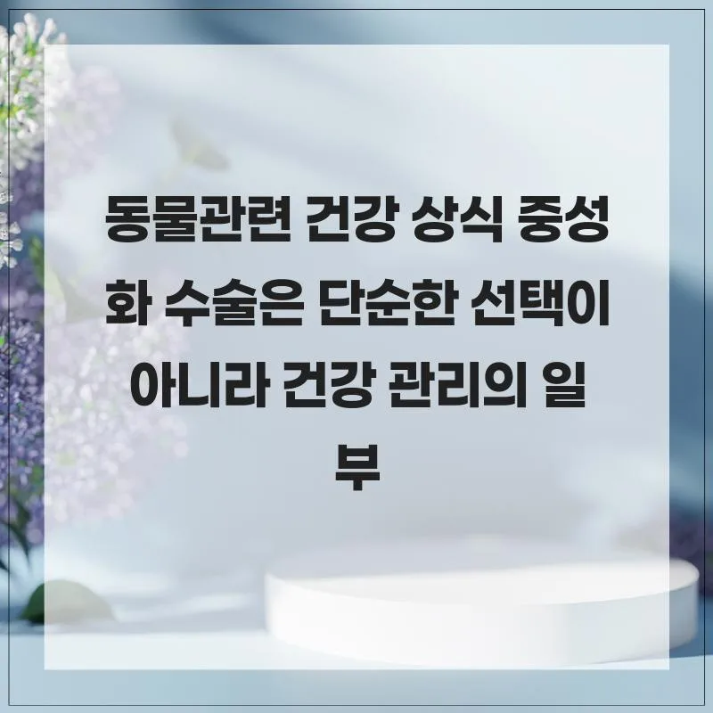 반려동물 건강검진 필수 가이드 2026: 이상 신호 놓치지 않는 법