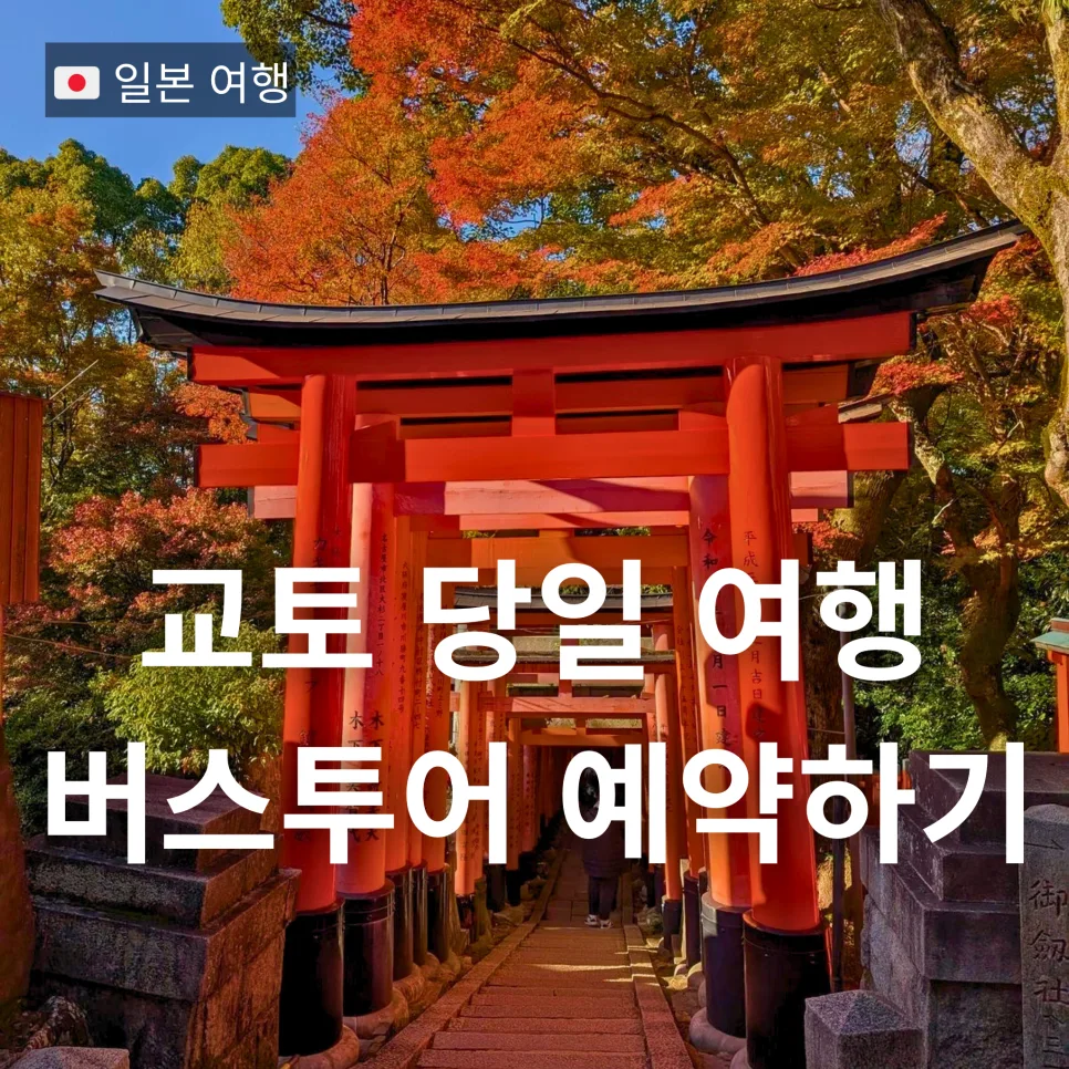교토 버스투어 2026: 오사카 출발 당일치기 추천 코스 및 슈짱 가이드 후기