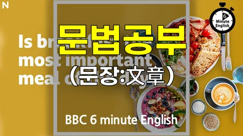 아침 식사는 정말 중요할까? 2026년 영어 문법 핵심 정리