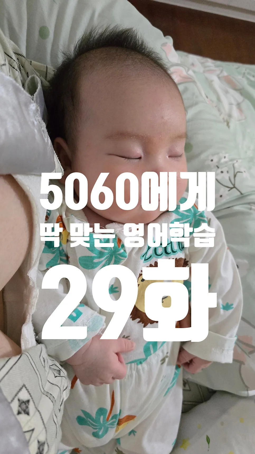 5060 은퇴 후 영어 공부, 2026년에도 늦지 않았나요?