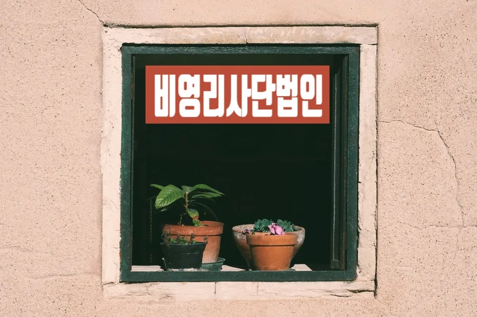비영리사단법인 설립 허가 신청, 주무관청 검토사항 2026년 완벽 정리