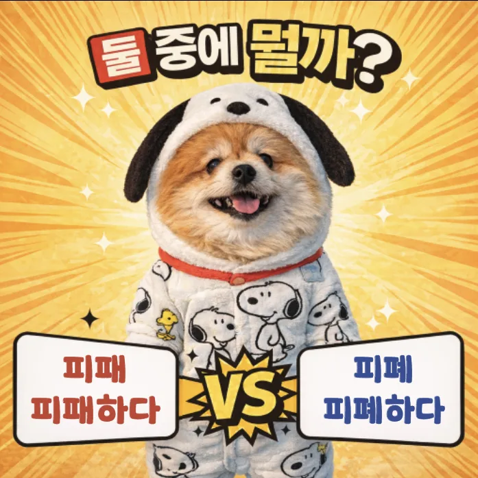 피폐 vs 피패: 2026년, 헷갈리는 맞춤법 완벽 정리