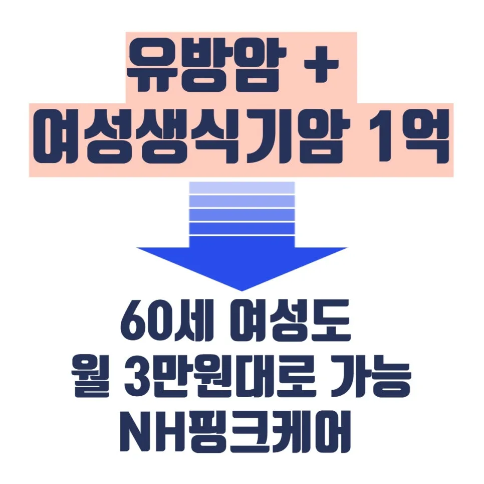 60세 여성 암보험, 유방암·여성암 1억 보장 월 3만원 가능할까? 2026