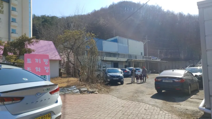 논산 피크닉 테마파크 동물 체험 2026: 아이와 가볼 만한 곳 추천