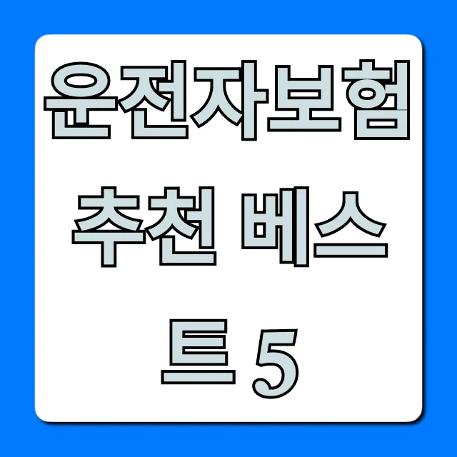 2026년 운전자보험 비교: 필수 특약 3가지와 현명한 선택법