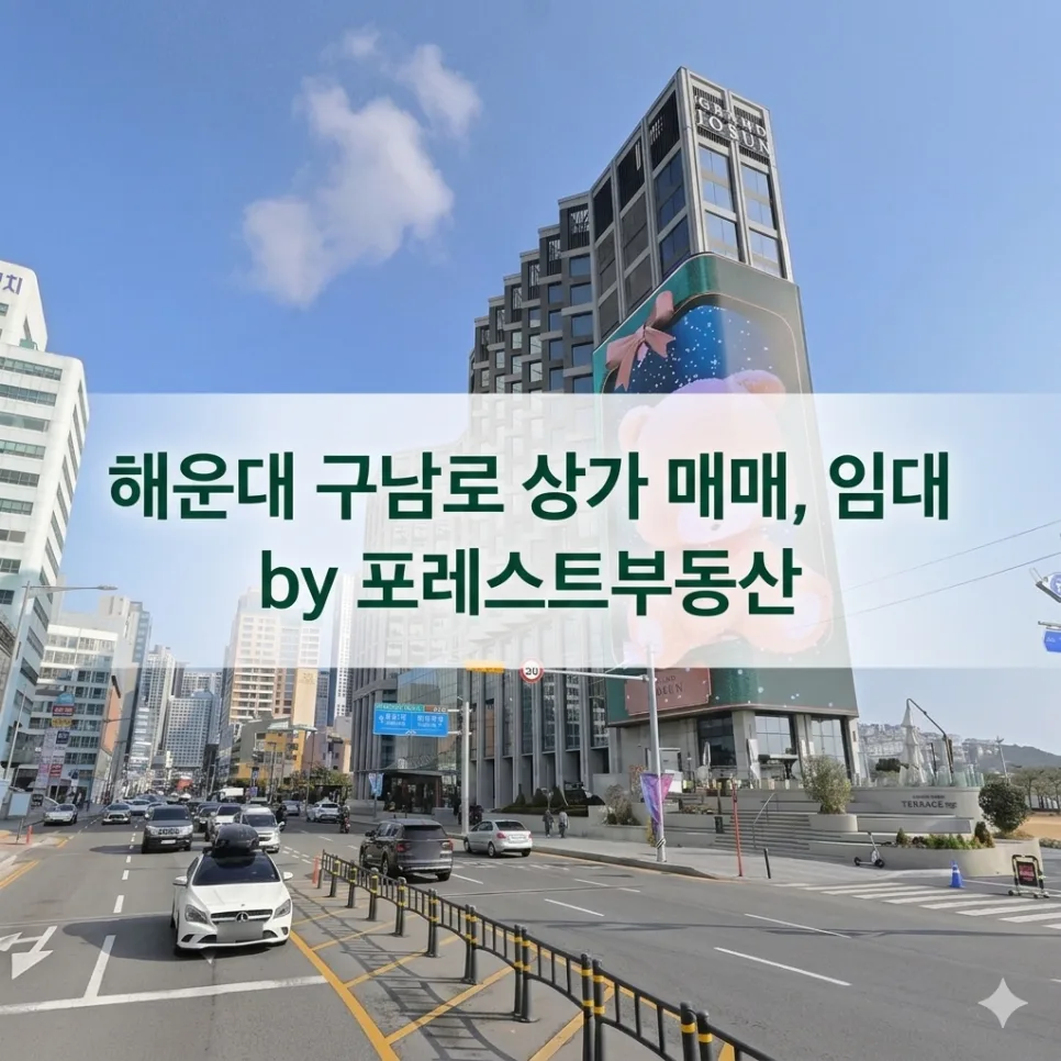 해운대 구남로 상가 투자, 2026년 전국 자본 몰리는 이유 분석