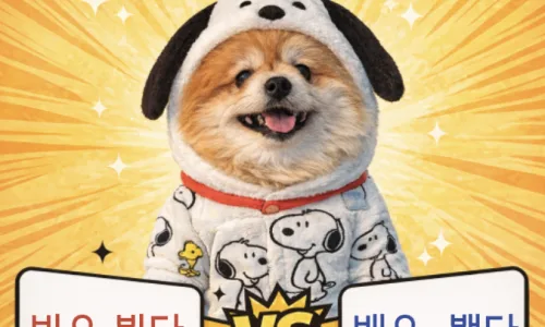 빨래와 걸레, 2026년에도 헷갈린다면? 올바른 맞춤법 정리 3