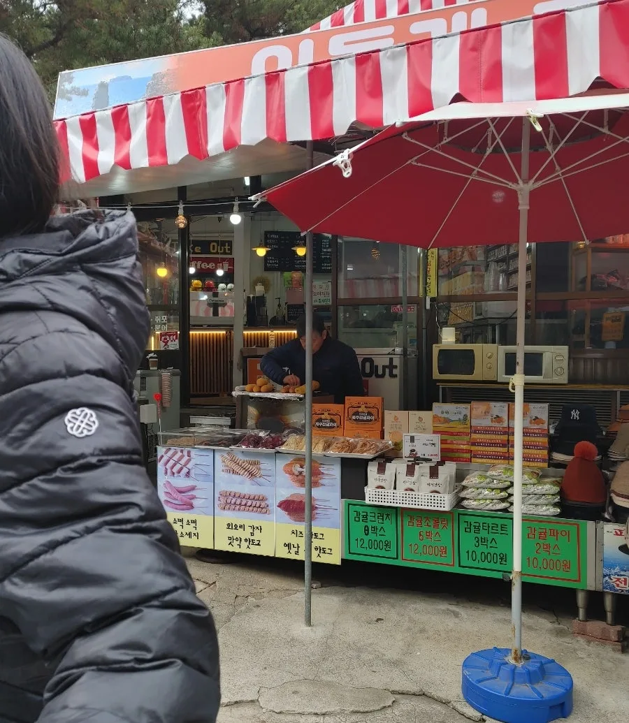 겨울 제주 외돌개 올레길 2026: 선녀탕까지 걷는 숨겨진 명소