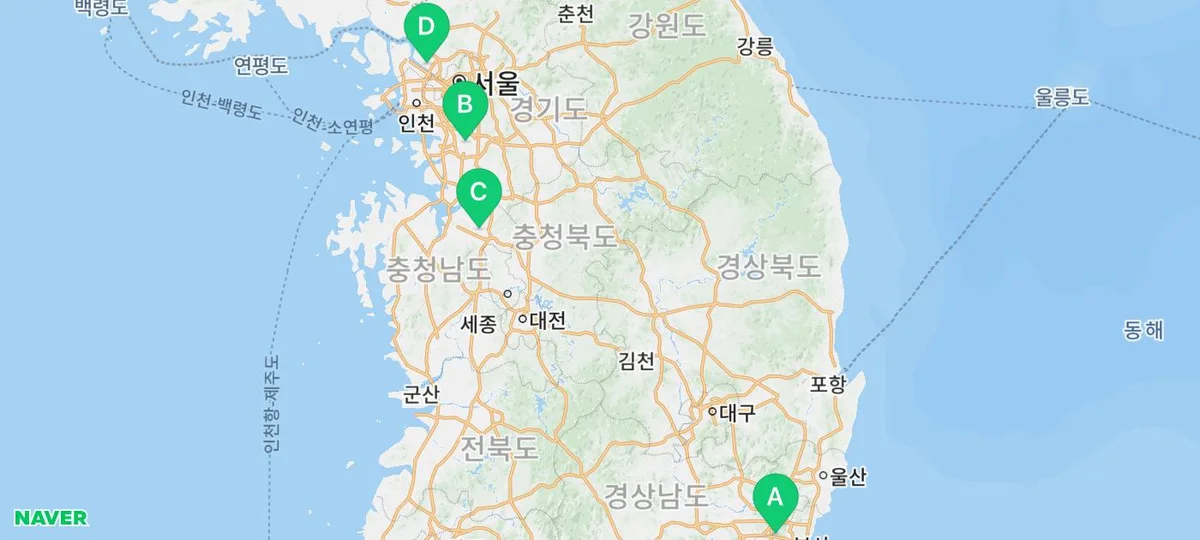 미니어처 푸들 미용 주기와 관리법 2026: 초보 보호자를 위한 완벽 가이드