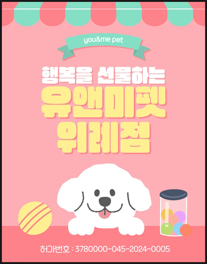 원주 강아지 분양 2026: 건강한 반려견 찾는 3가지 핵심 기준