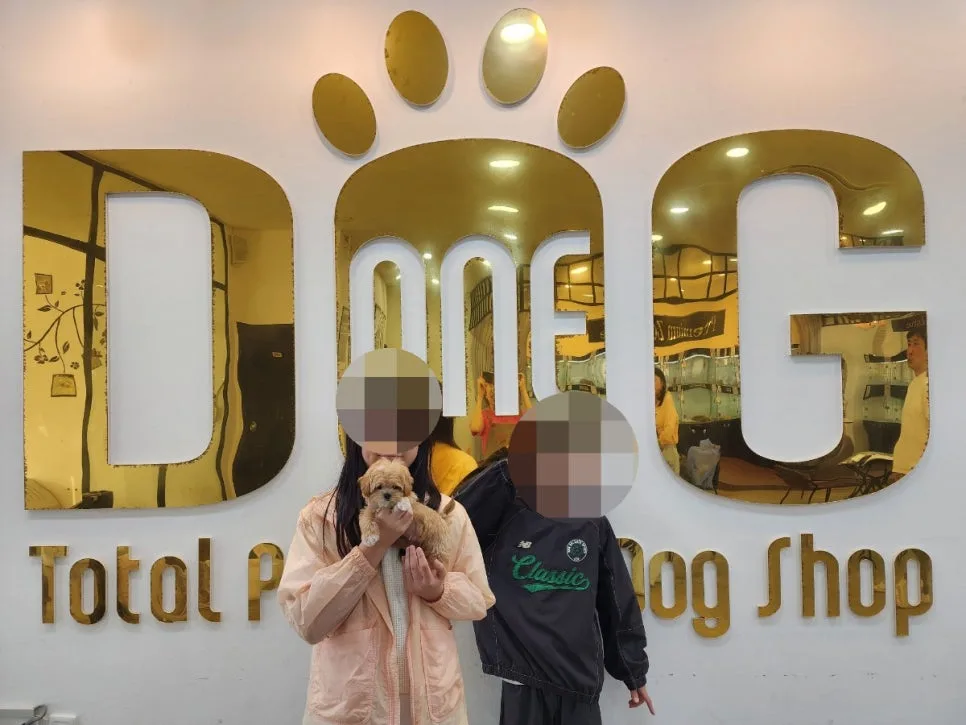 세종시 강아지 분양 1위 원독, 건강한 반려견 만나는 법 2026 2