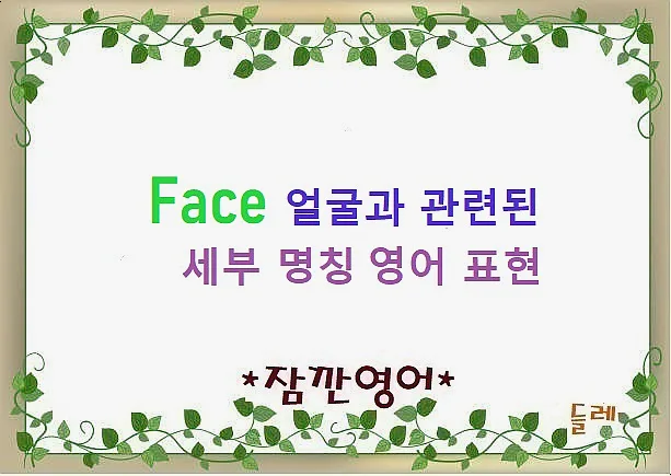 얼굴 영어 명칭 2026: 이마부터 턱까지 완벽 정리