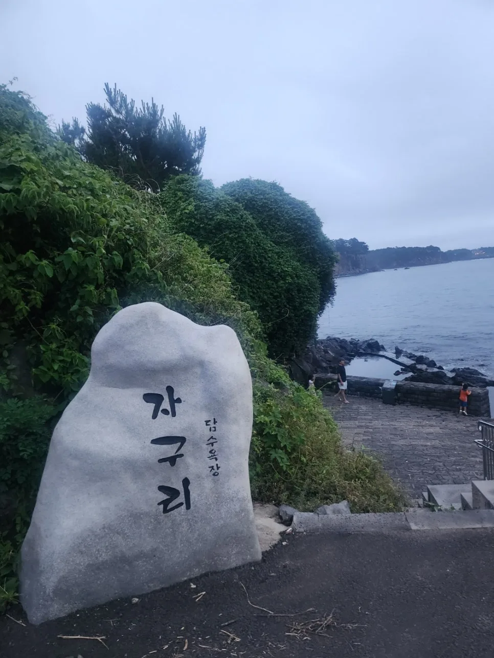 시간 표현 시제 완벽 정리: 과거, 현재, 미래 구분법 2026 2