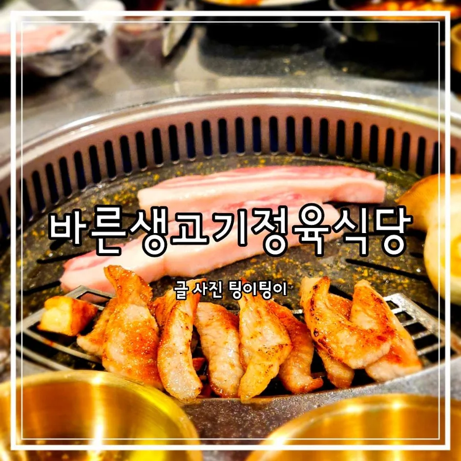 문산역 고깃집 바른생고기 2026년 방문 후기: 신선함과 맛의 완벽 조화
