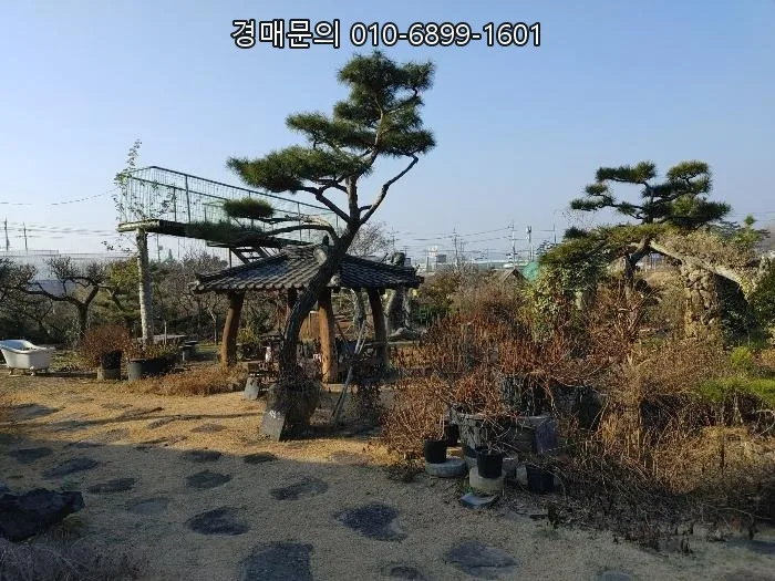 창녕 근린시설 경매 2026: 5회 유찰된 19% 최저가 투자 분석