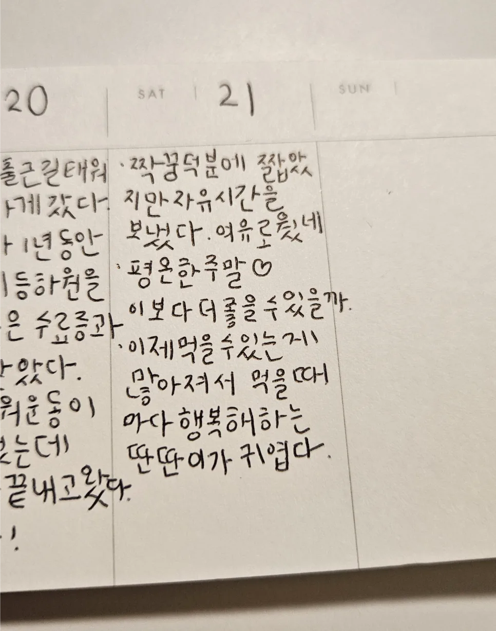 짝꿍의 감사한 배려 2026: 육아와 휴식의 완벽한 균형
