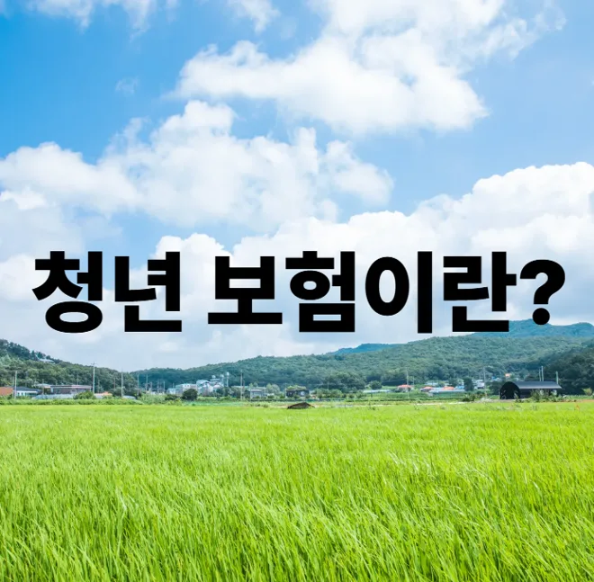 20대 여성 보험 가입 전략 2026: 97년생 맞춤 플랜 2