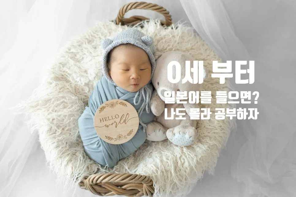 독도 다케시마 일본어 표현과 인생 공부법 2026