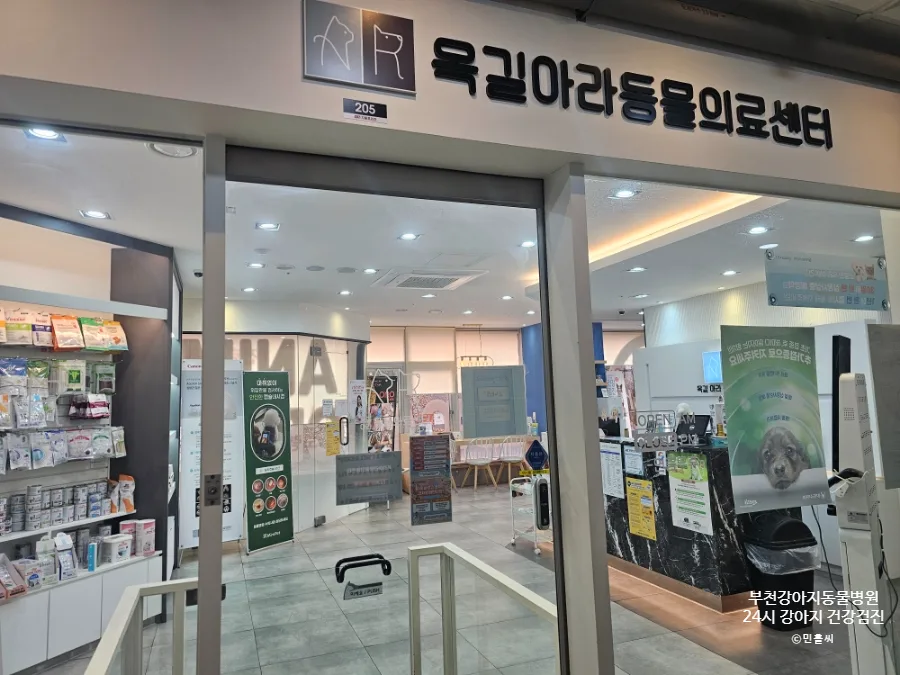 말티푸 건강검진 필수 체크리스트 2026: 부천 24시 동물병원 후기