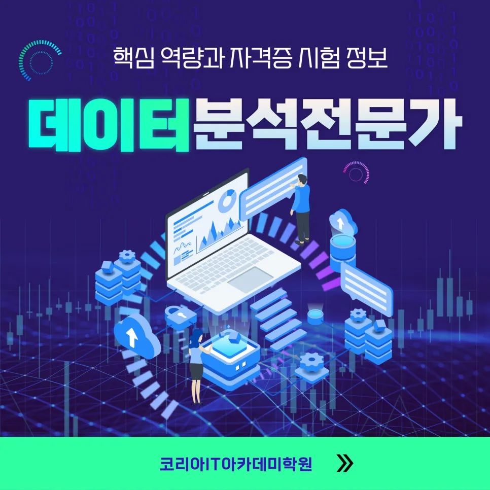 데이터 분석 전문가 되는 법: 핵심 역량 & 자격증 2026