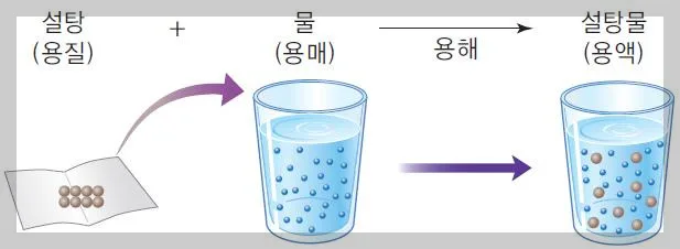 용매 용질 용액 개념 알기: 2024년 핵심 정리