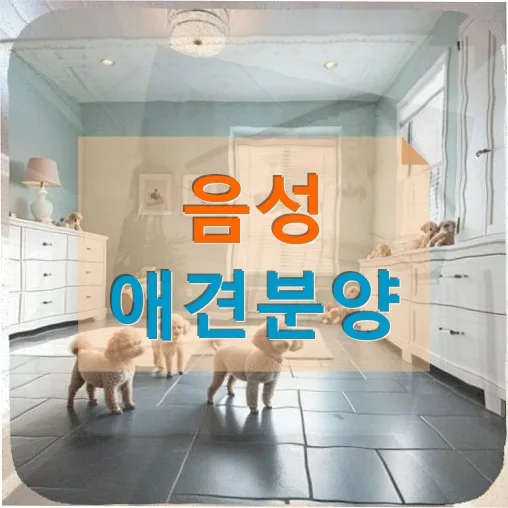 음성 애견분양 후 첫 외출 멀미와 항문낭 증상, 2026년 대비책
