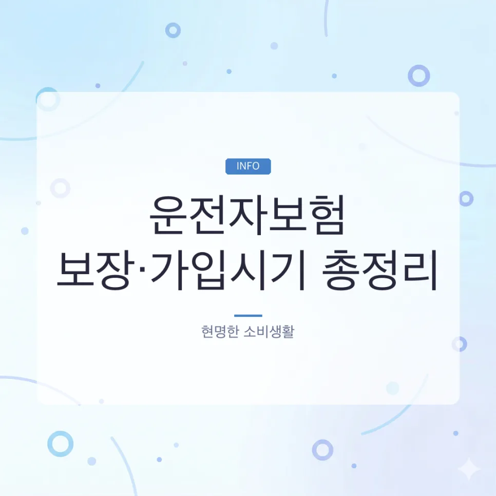 2026년 운전자보험 핵심 보장과 개정 사항 완벽 정리
