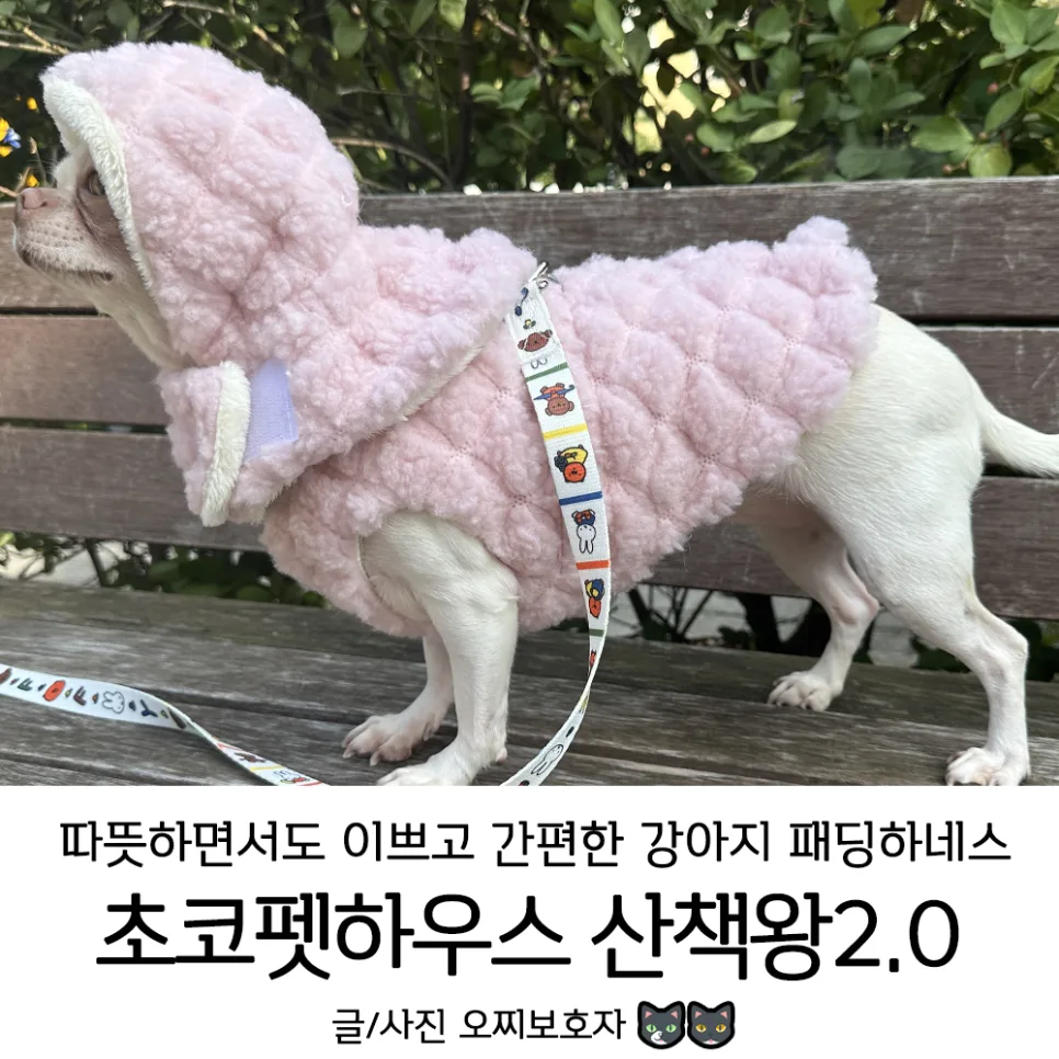 강아지 패딩 하네스 초코펫하우스 산책왕 2.0: 2026년 겨울 필수템