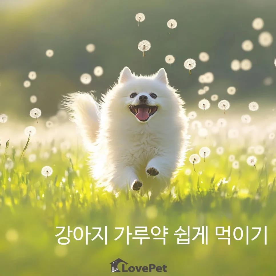 2026년 강아지 가루약 쉽게 먹이는 꿀팁 5가지