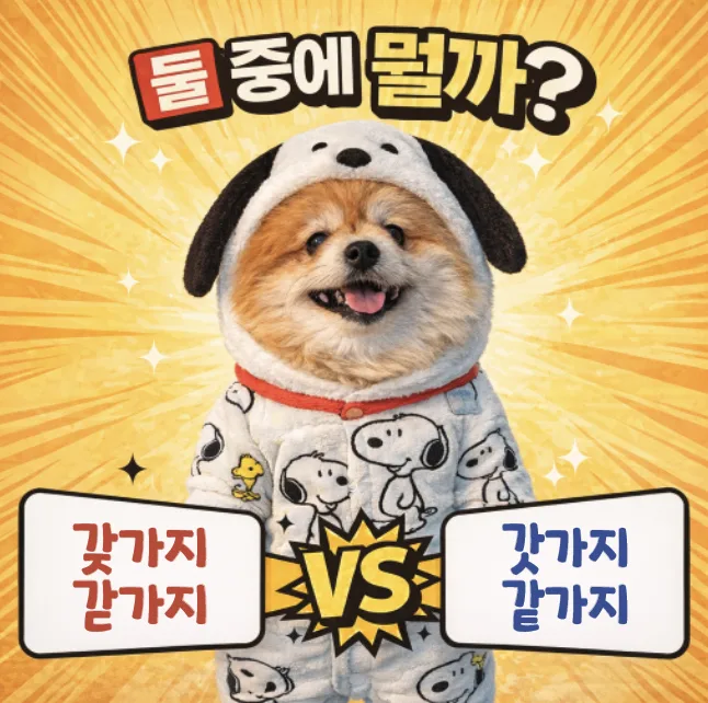 갖가지 vs 갓가지, 2026년 맞춤법 오류 완벽 정리