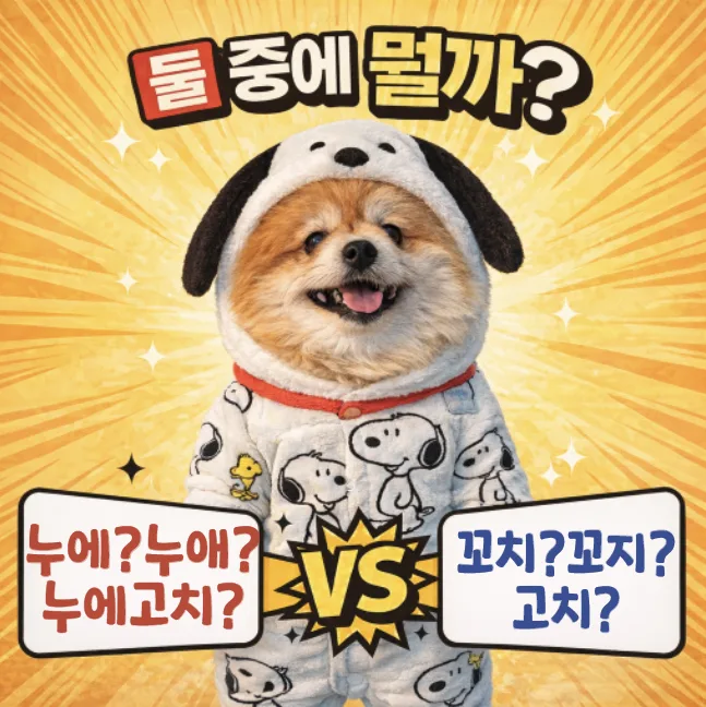 누에와 고치, 꼬치 올바른 맞춤법 2026년 총정리