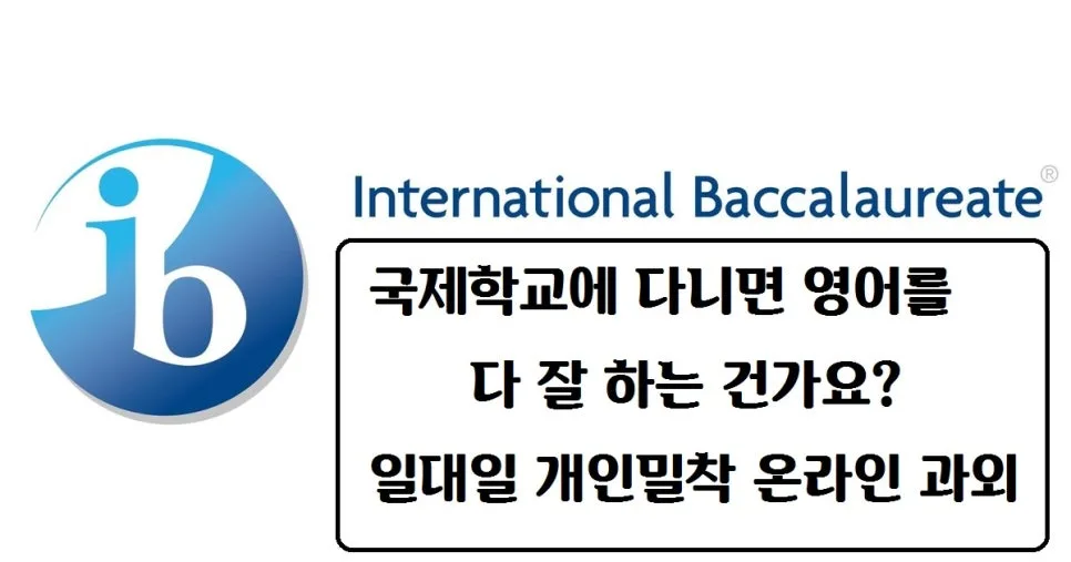 국제학교 영어 실력, 스피킹이 라이팅에 미치는 영향 2026년 분석