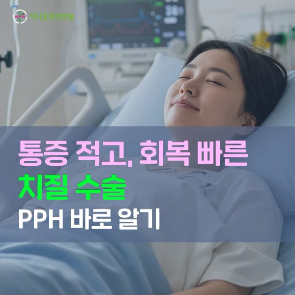 치질 수술 PPH, 회복 기간과 통증 줄이는 방법 2026