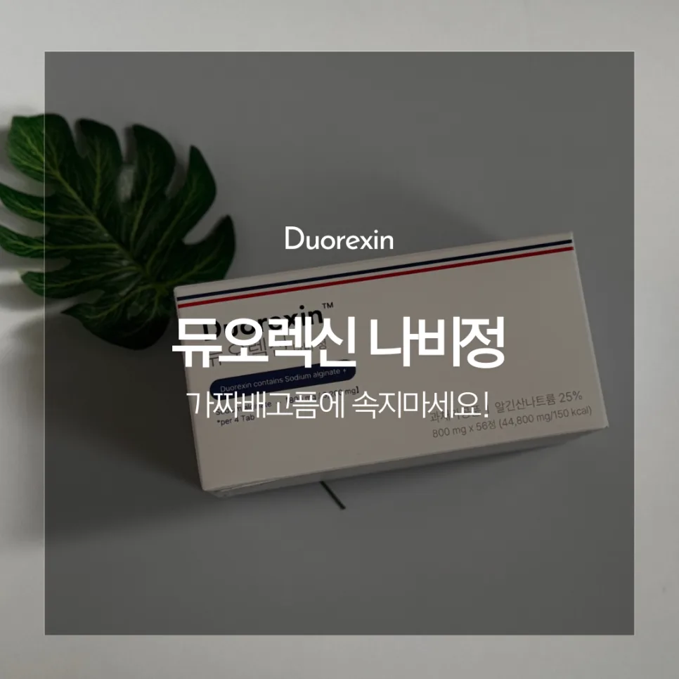 듀오렉신 나비정 3kg 감량 후기 2026: 식탐 잡는 법