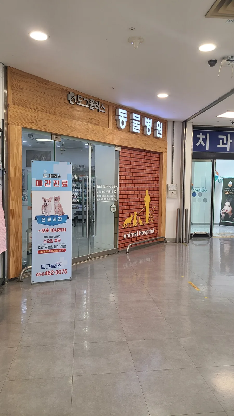 구미 도그플러스 동물병원, 강아지 눈물·구토·기침 진료 후기 2026
