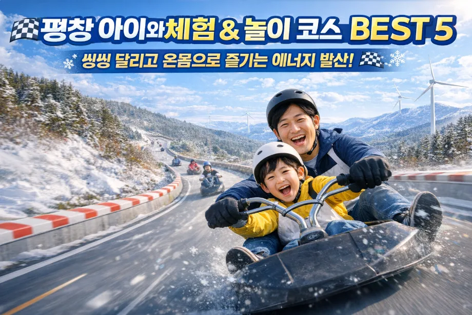 평창 아이와 가볼만한 곳 BEST 5: 2026년 짜릿한 체험 코스 추천