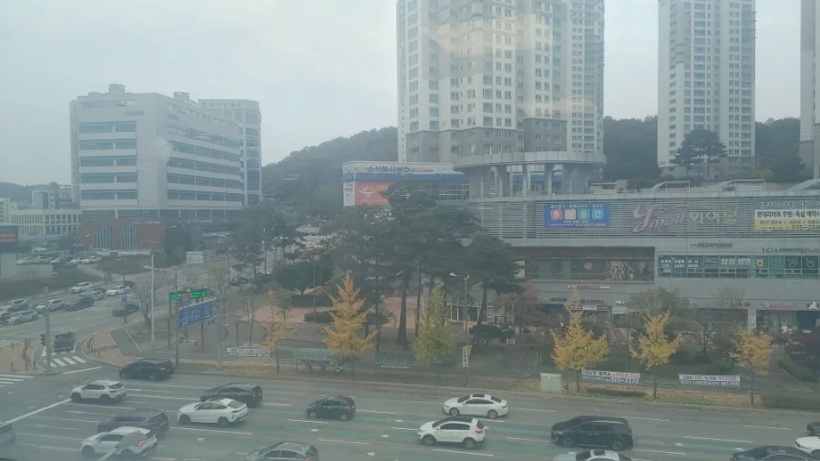 천안 아산 스시야 2026: 놀이방 식당 가성비와 초밥 퀄리티 분석