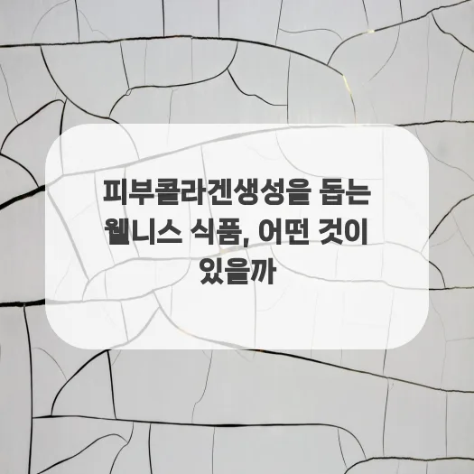 피부 콜라겐 생성 돕는 식품 2026: 실제 경험자 꿀팁
