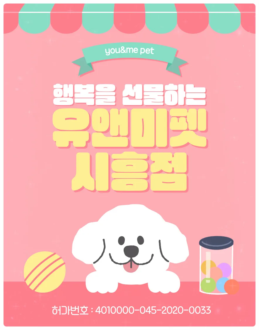 의왕 토이푸들 분양 2026: 유앤미펫 방문 후기 및 건강한 반려견 선택 가이드