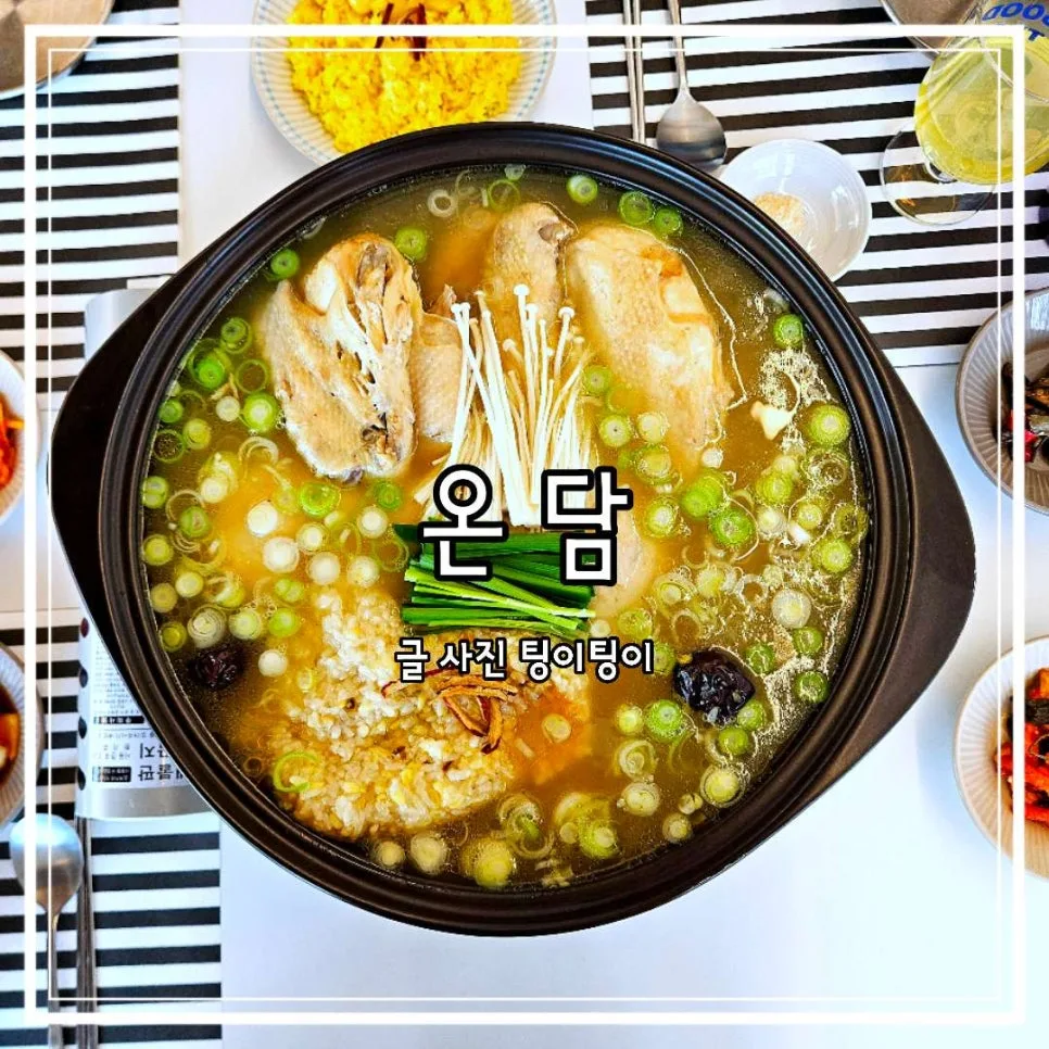 파주 백숙 온담: 2026년 몸보신 최적 보양식 맛집 총정리