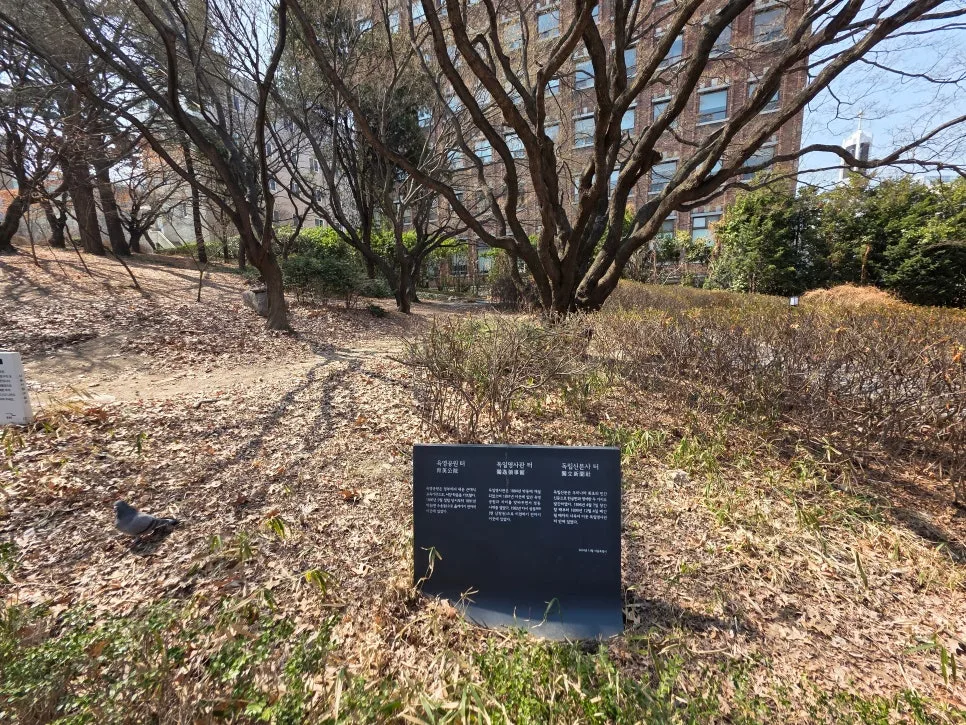 서울시립미술관 전시 2026: 최재은 '약속' 관람 후기 및 정보