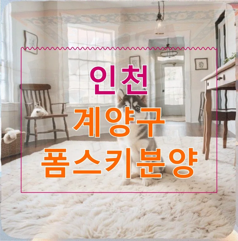 인천 계양구 폼스키 분양 후기: 반려견 이사 스트레스 극복기 2026