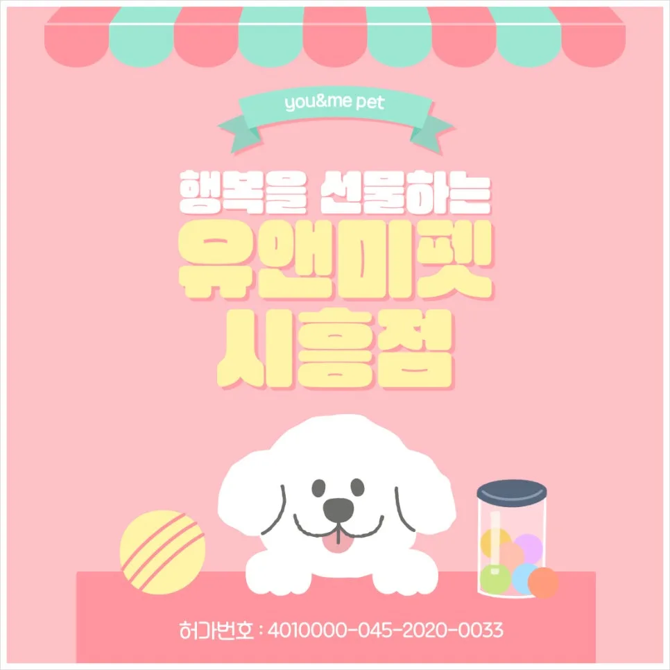 남양주 러시안블루 분양, 유앤미펫 경험담 2026