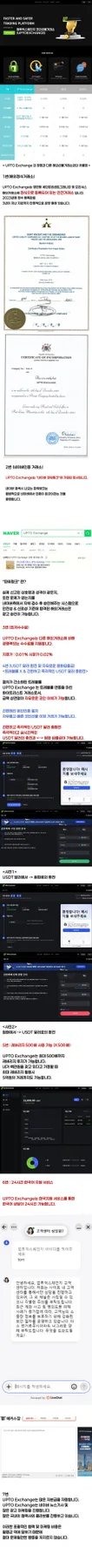 솔라나 코인 ETF 승인 가능성 및 시세 전망 2026