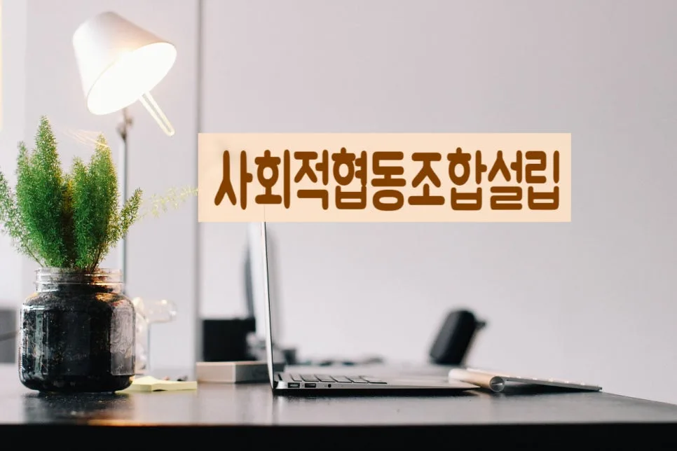 보건복지부 사회적협동조합 설립인가 2026년 최신 절차 총정리