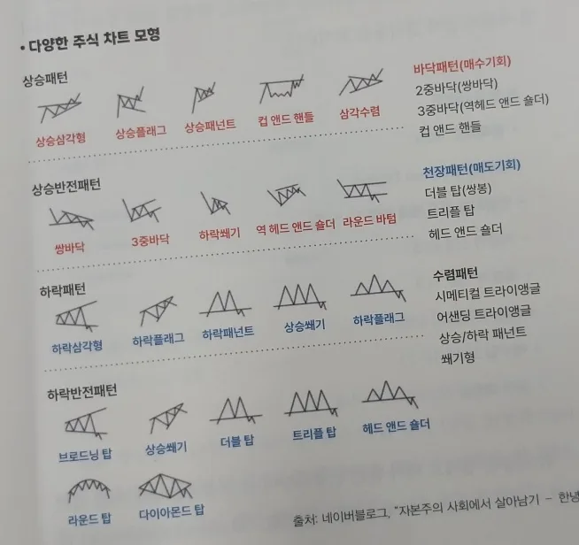 AI 주식 투자 전략 2026: 급등주 포착 비법 공개 2